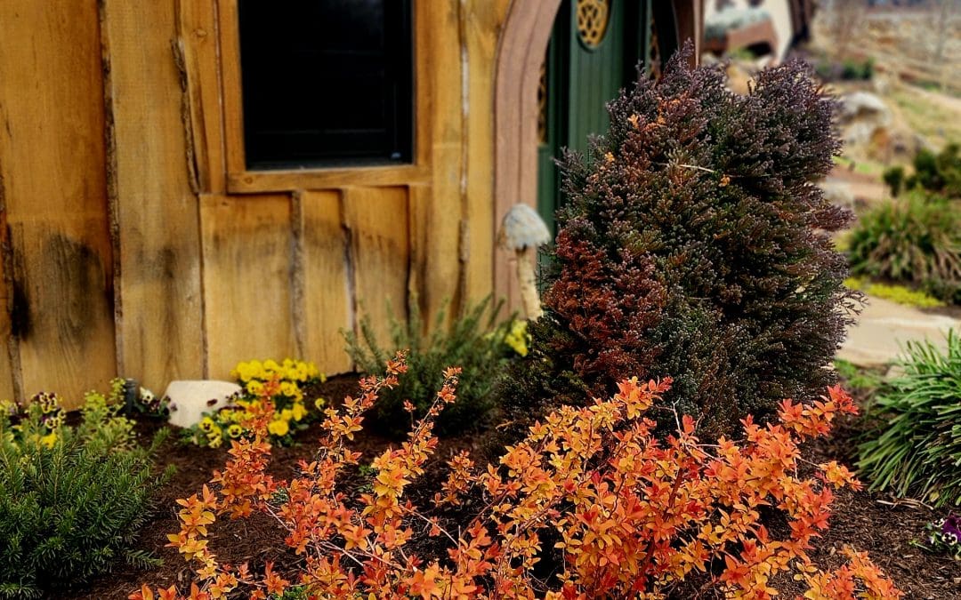 Autumn Magic in the Village:  A Reflection on Harvest, Balance, and Transformation