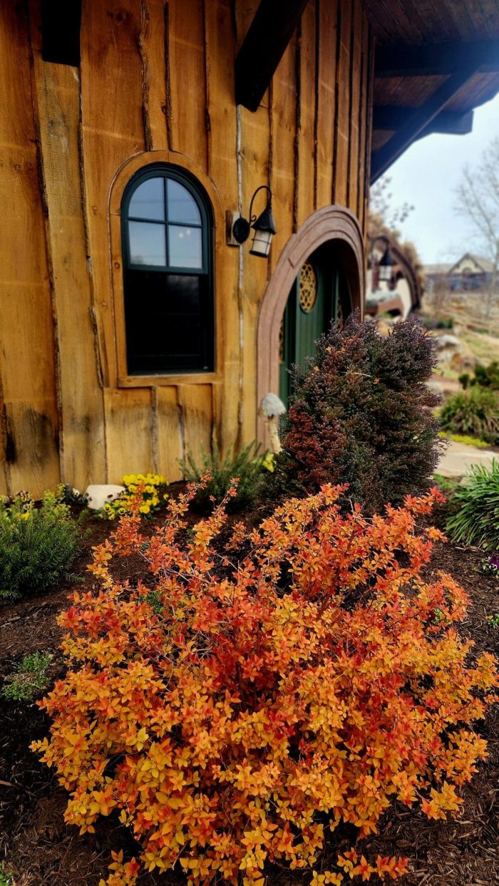 03.08.24 Burrows with flowers