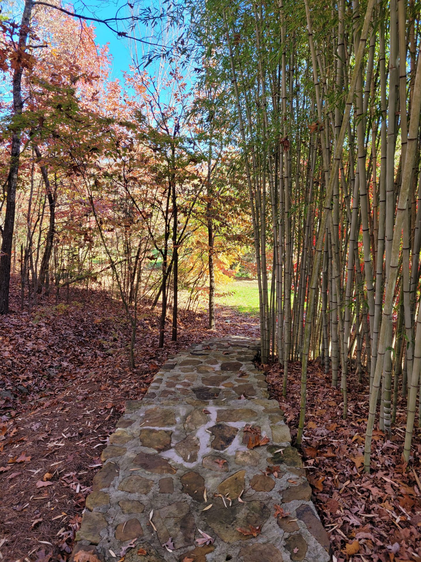 Group of friends at Ancient Lore Village Firepit