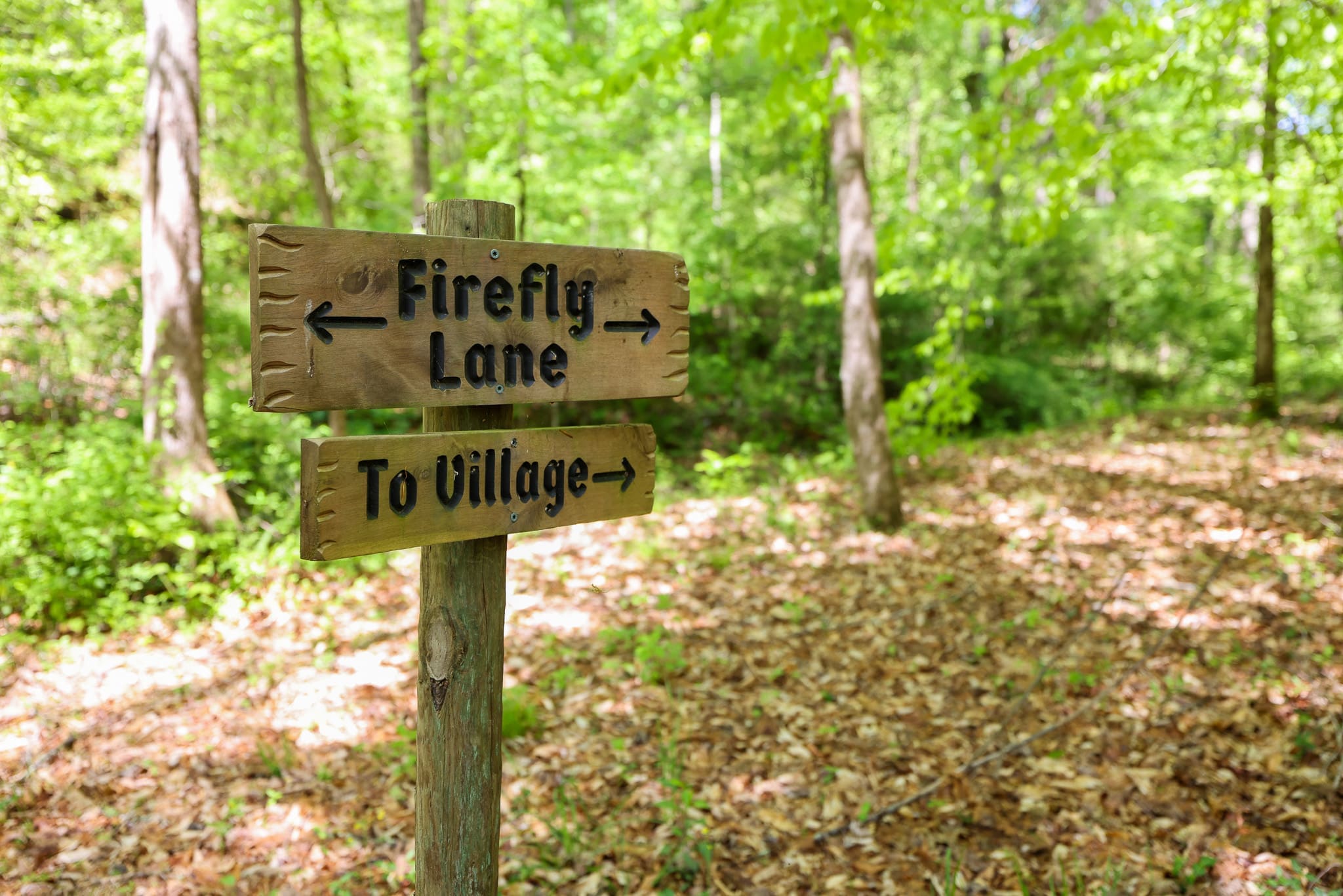 Wedding Venue Waterfall