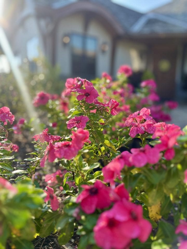 Wedding Venue Waterfall